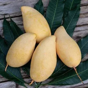 sabias que mango