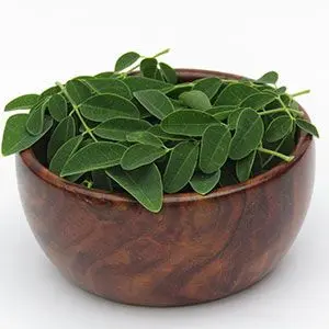 sabias que moringa