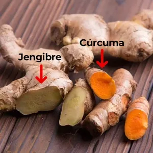 jengibre curcuma