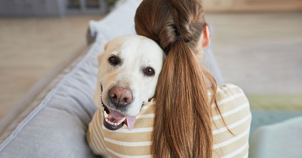 Las razas de perros más apegadas a los humanos