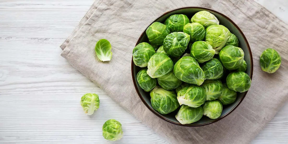 ¿Tus mascotas pueden comer coles de Bruselas?