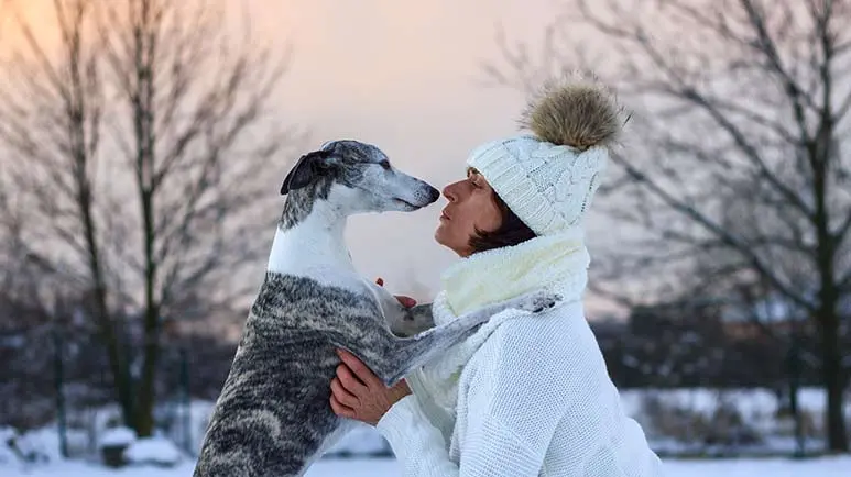 Existe un vínculo sorprendente entre las mascotas y la salud mental