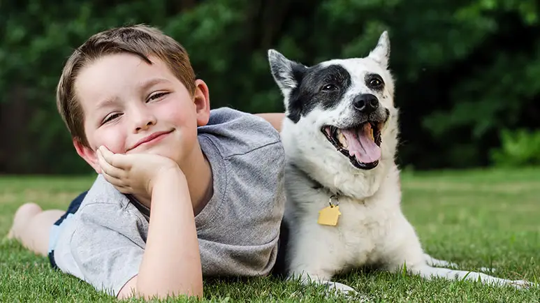 Cómo proteger a tu hijo de las mordeduras de perro