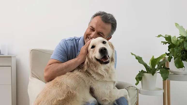 ¿Tu perro puede mejorar la salud de tu cerebro?