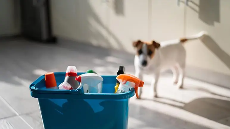 Muchos productos de limpieza representan una amenaza para la salud de las mascotas