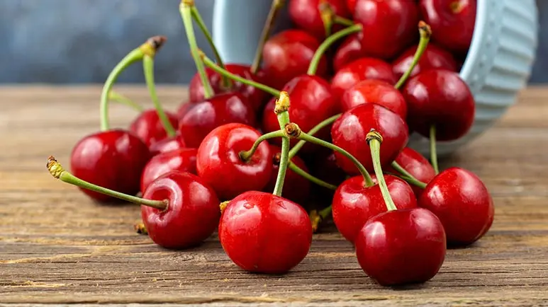 Cerezas dulces: ¡Una fruta jugosa que promueve la función inmunológica de las mascotas!