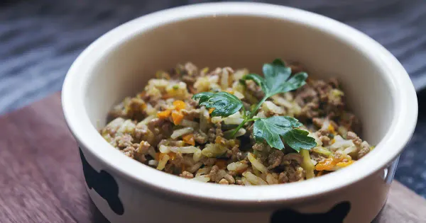 3 fallas comunes a la hora de preparar comida casera para tu perro