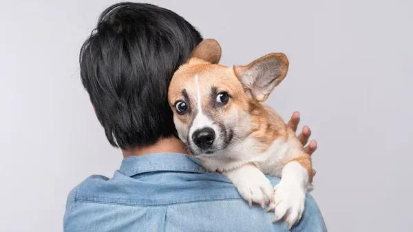 Tu perro se estresa mucho cuando lo abrazas